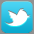 follow us on twitter