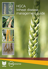 Wheat disease guide