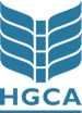 blue logo